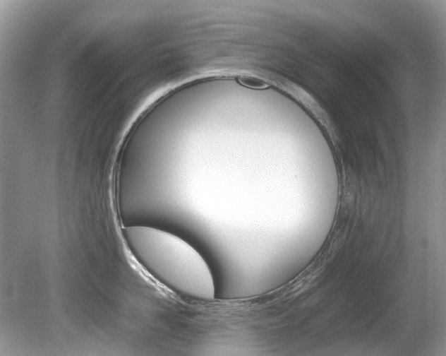 X0000080190958200612081156