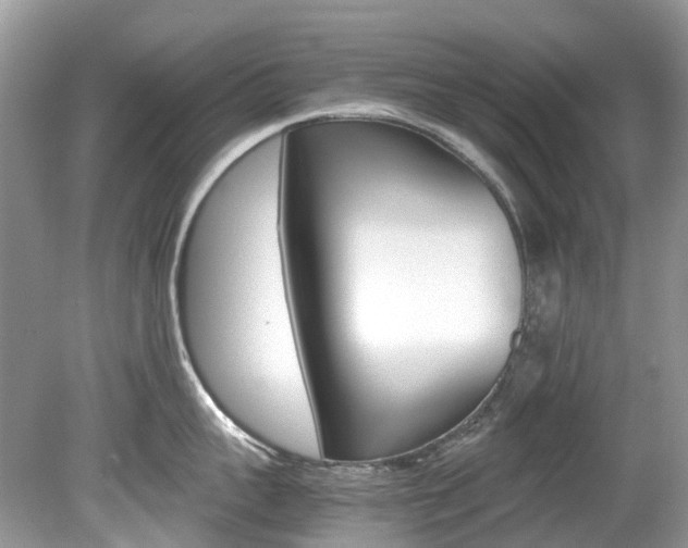 X0000080190959200612081157