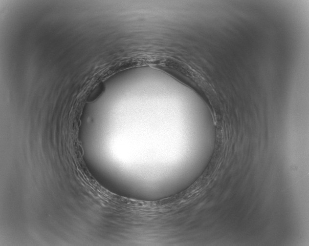 X0000080190961200612081156