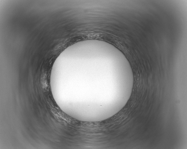 X0000080190962200612081156