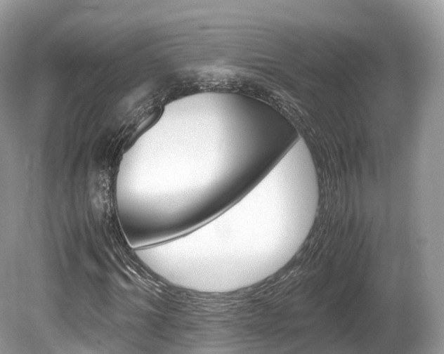 X0000080190964200612081156
