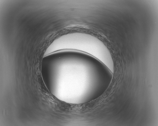 X0000080190965200612081156