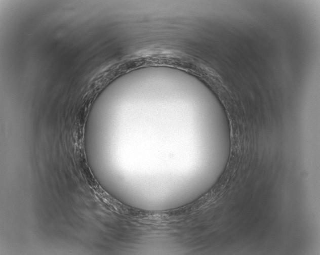 X0000080190966200612081156