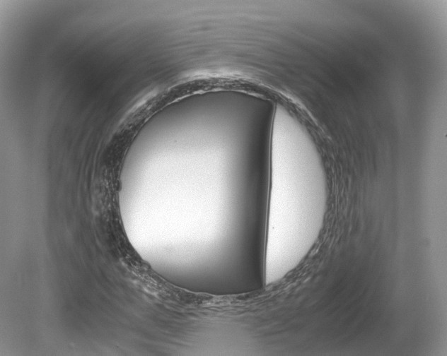 X0000080190967200612081156