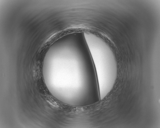 X0000080190968200612081156
