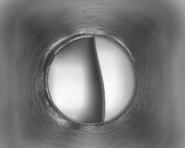 X0000080190971200612081156