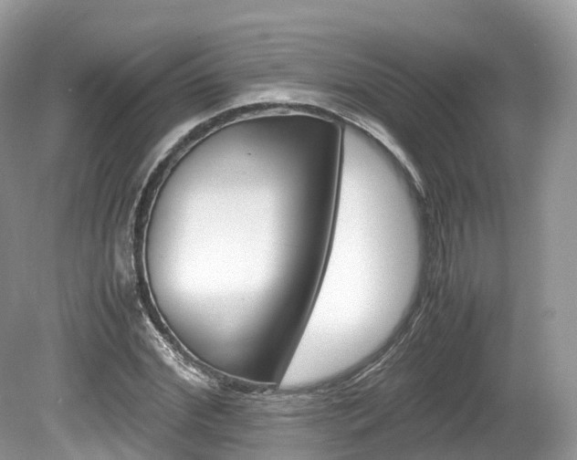 X0000080190972200612081156