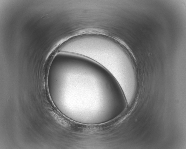 X0000080190973200612081156