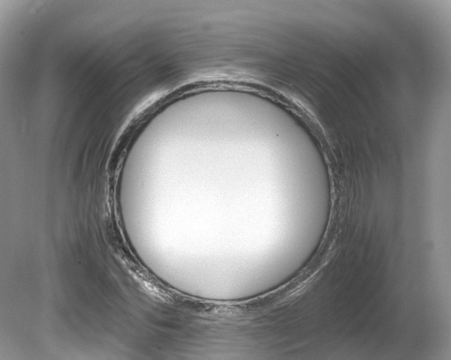X0000080190974200612081155