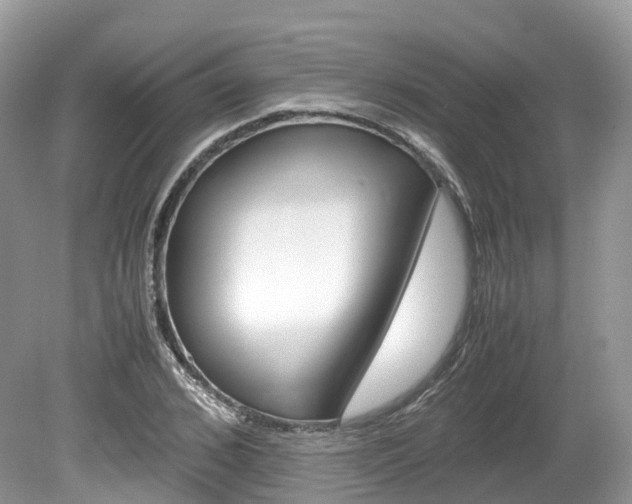 X0000080190976200612081155