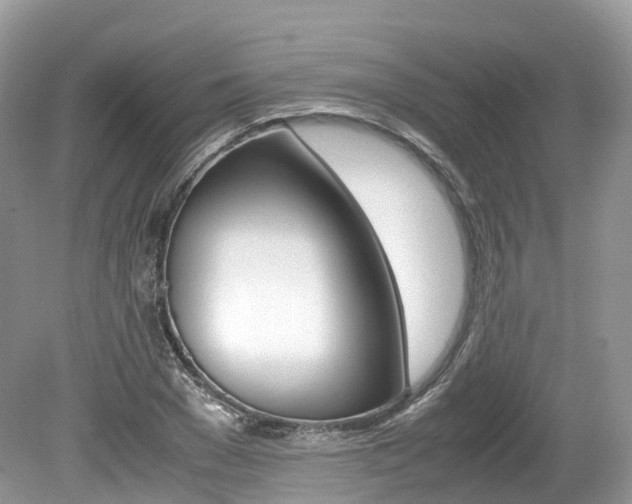 X0000080190977200612081155