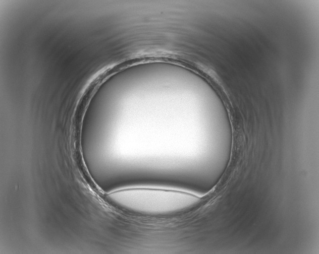 X0000080190979200612081155