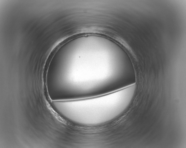 X0000080190980200612081155