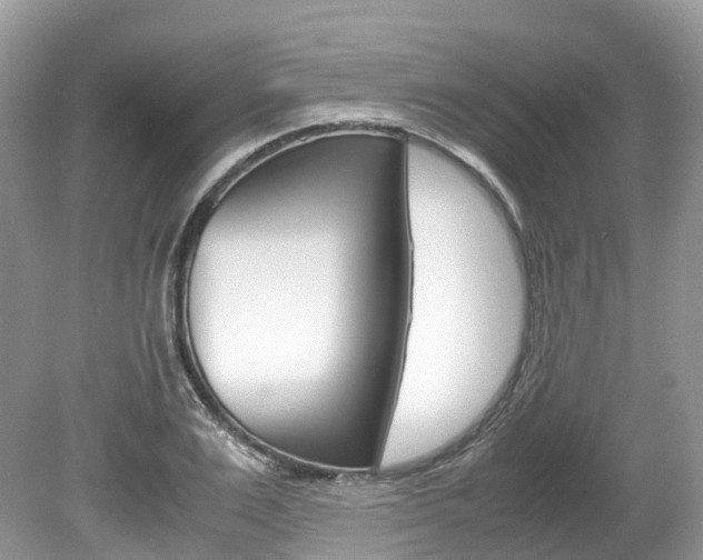 X0000080190983200612081155