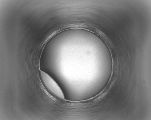 X0000080190985200612081155