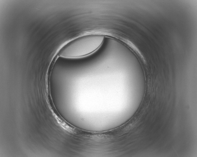 X0000080190988200612081155
