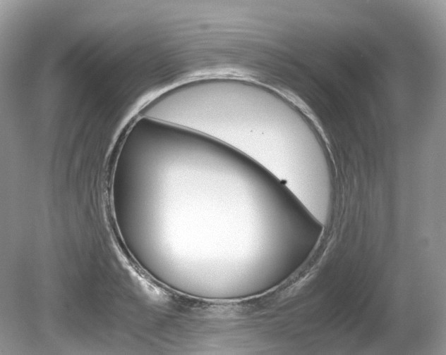 X0000080190989200612081155