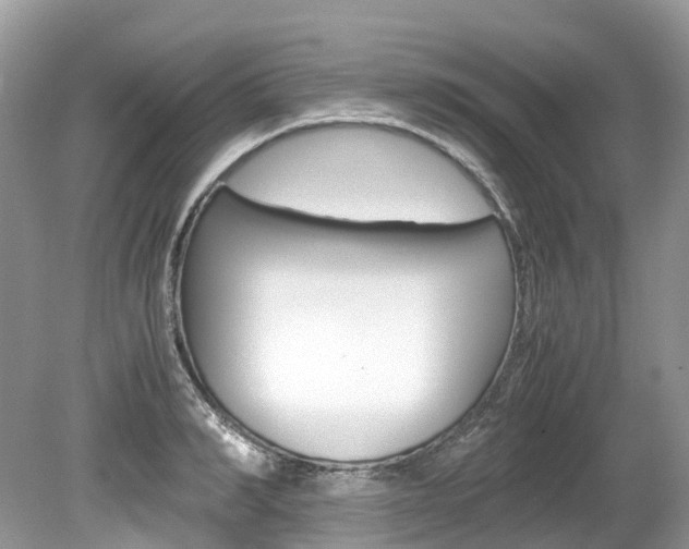 X0000080190990200612081155