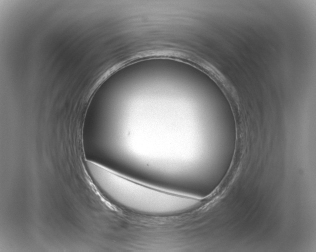 X0000080190993200612081155