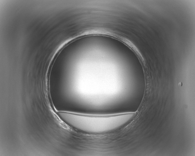 X0000080190996200612081155