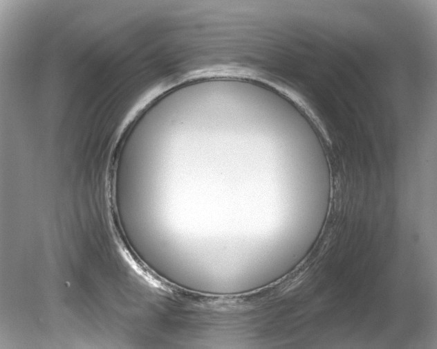 X0000080190998200612081155