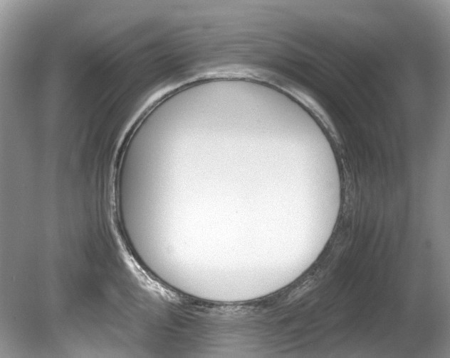 X0000080191000200612081155