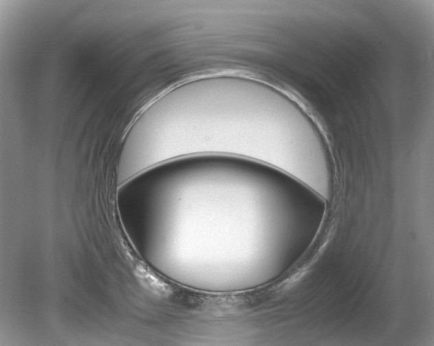 X0000080191001200612081155