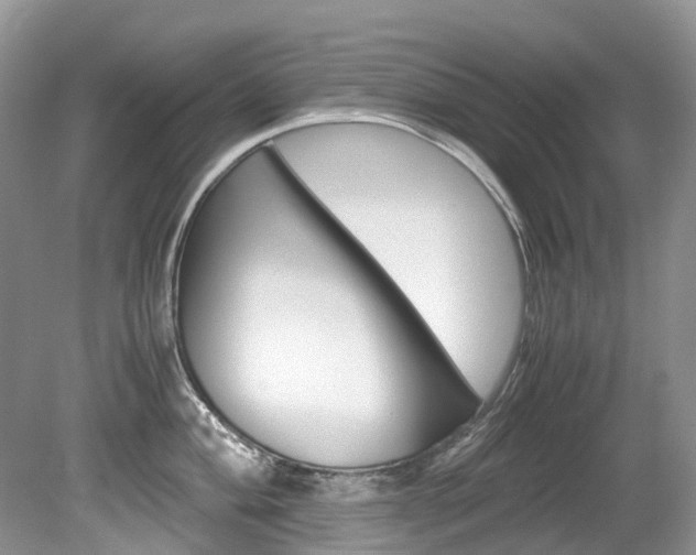 X0000080191004200612081155