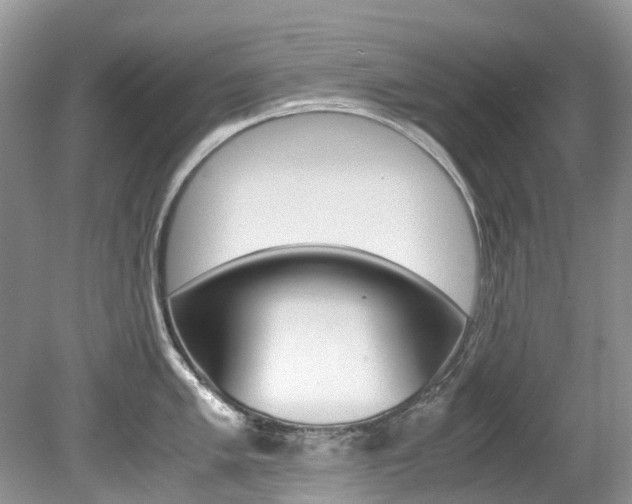 X0000080191005200612081155