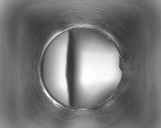 X0000080191007200612081155