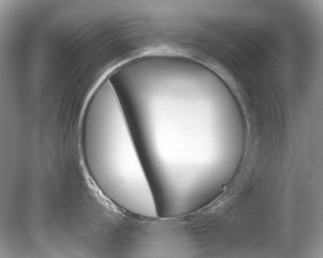 X0000080191008200612081155