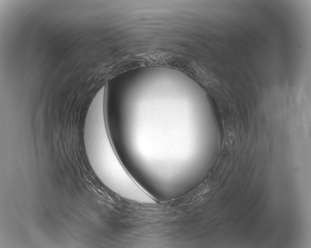X0000080191010200612081154