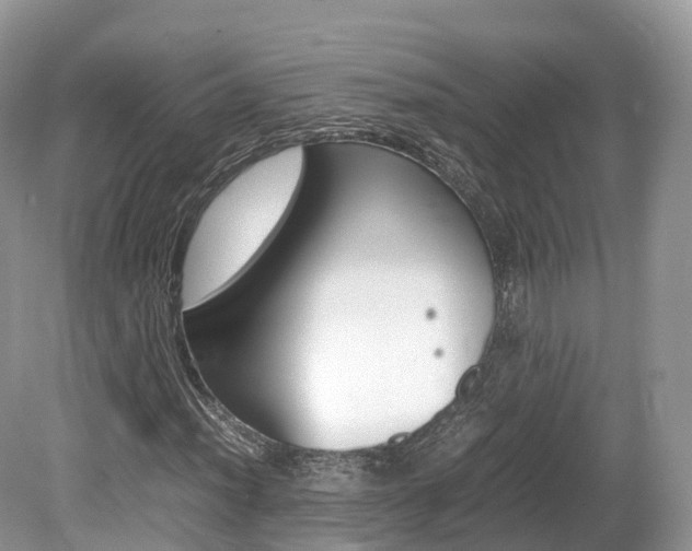 X0000080191012200612081154