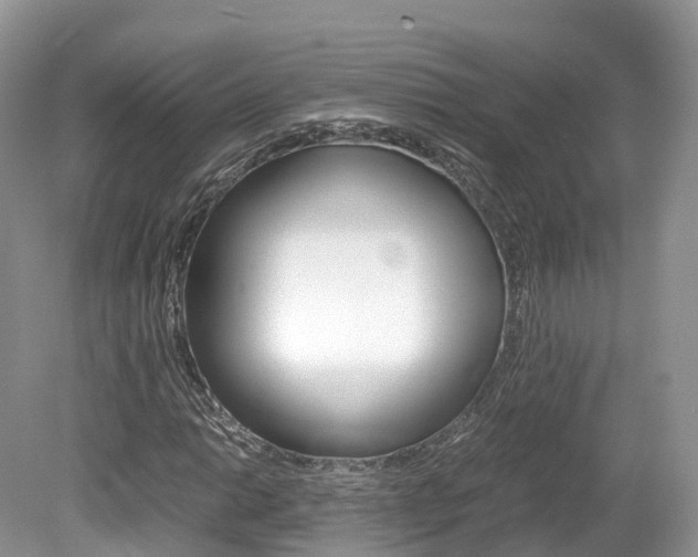 X0000080191014200612081154