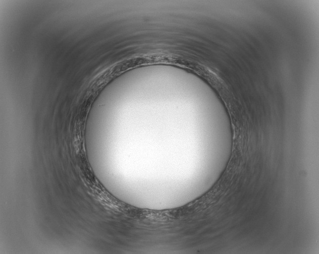 X0000080191015200612081154