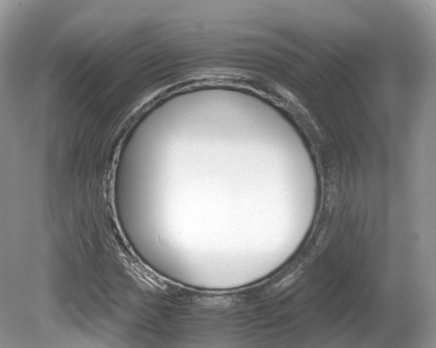 X0000080191017200612081154