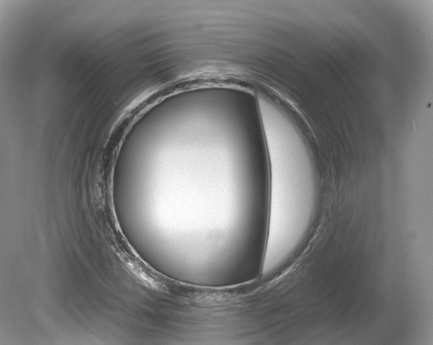 X0000080191018200612081154