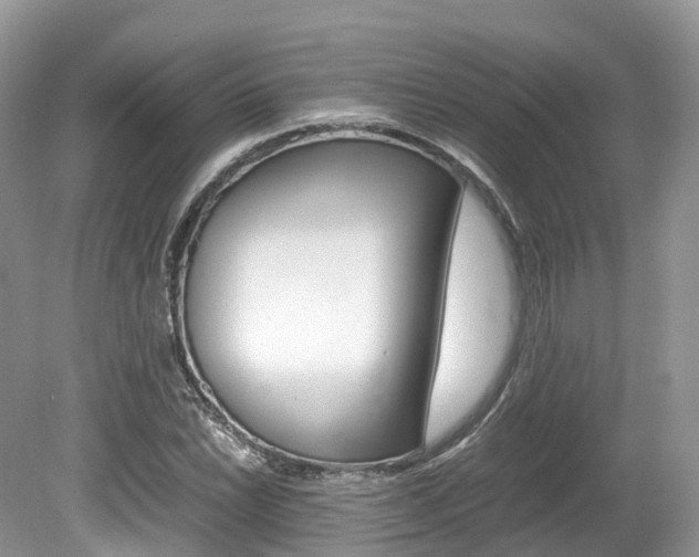 X0000080191022200612081154