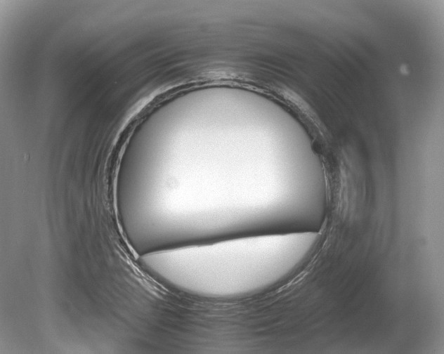 X0000080191023200612081154