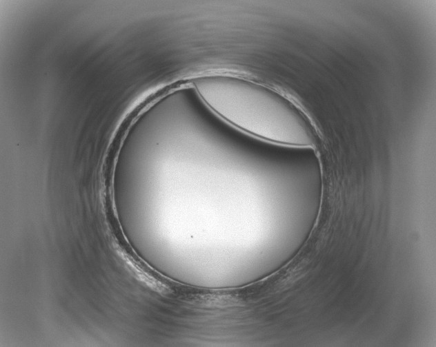 X0000080191024200612081154