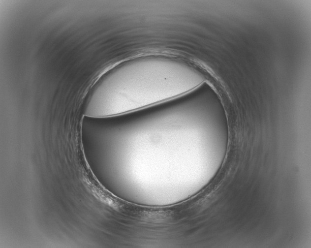 X0000080191025200612081154
