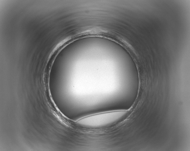 X0000080191026200612081154
