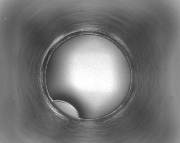 X0000080191029200612081154
