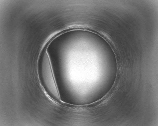 X0000080191030200612081154