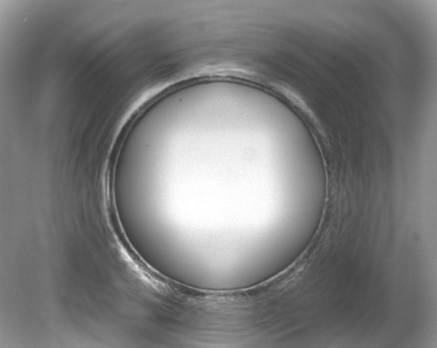 X0000080191032200612081154