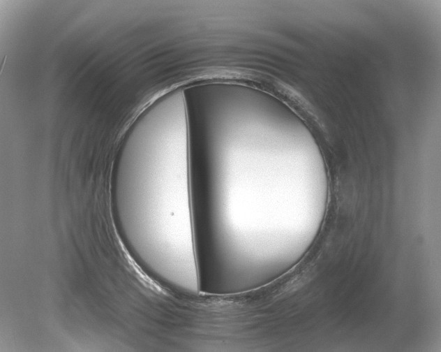 X0000080191033200612081154