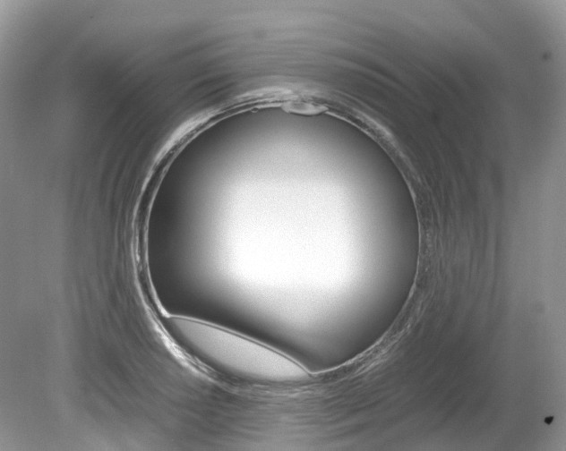 X0000080191034200612081155
