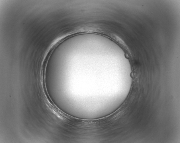 X0000080191035200612081155