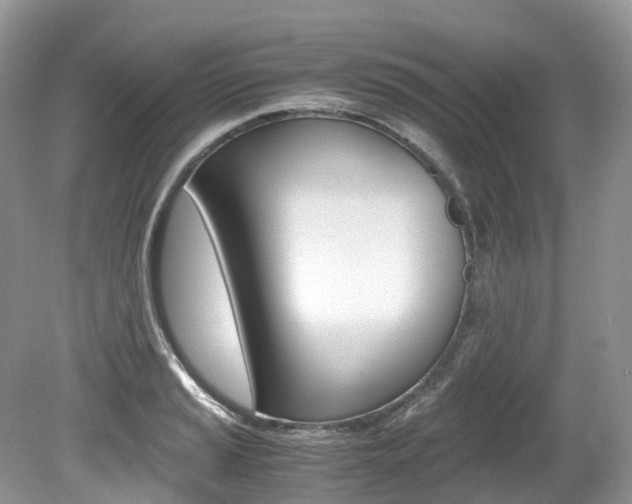 X0000080191037200612081155