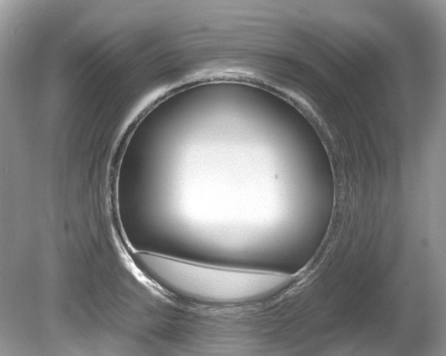 X0000080191038200612081155
